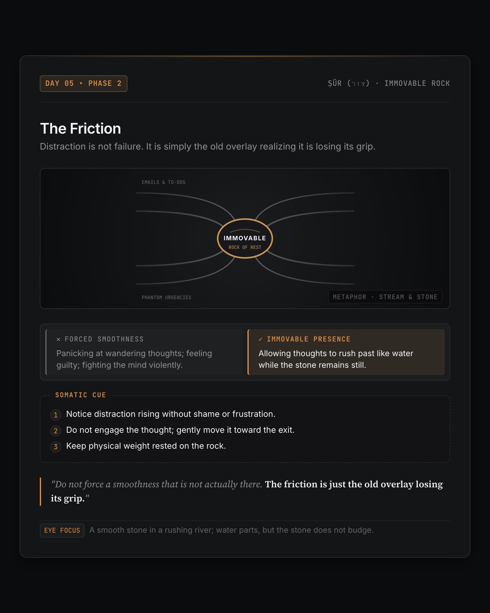 Day 5 Infographic